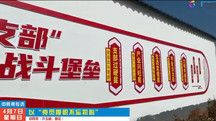 党员履职 不忘初心