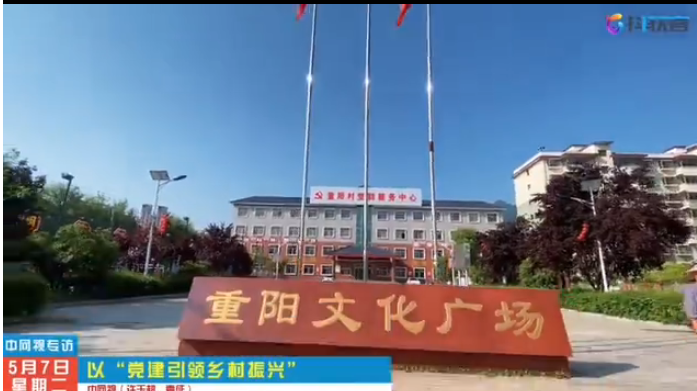 以“党建引领乡村振兴”