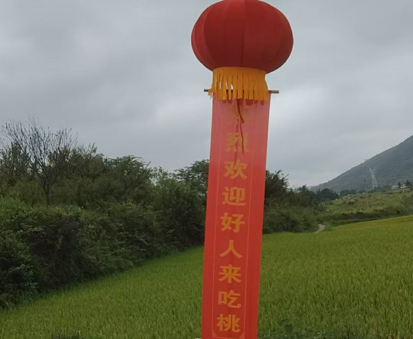 桃.png