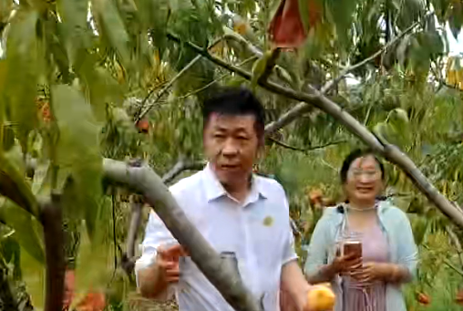 截图1755266874.png