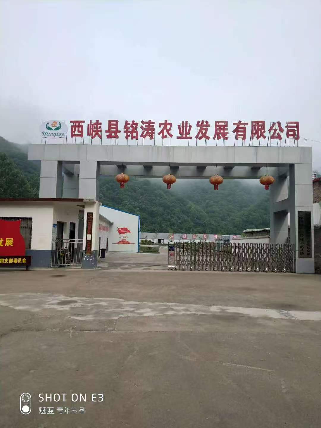 mmexport1785650992892.jpg