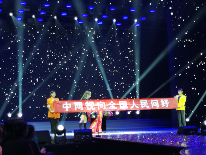 中网视民间舞蹈艺术专业委员会授牌 暨2025年春节晚会启动仪式(图2)